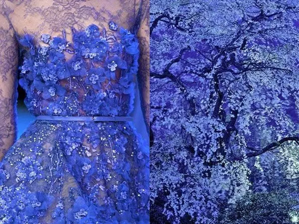 【最美的设计师,永远都是大自然】(35图) - 空山鸟语 - 月滿江南 【最美的设计师,永远都是大自然】(35图) - 空山鸟语 - 月滿江南