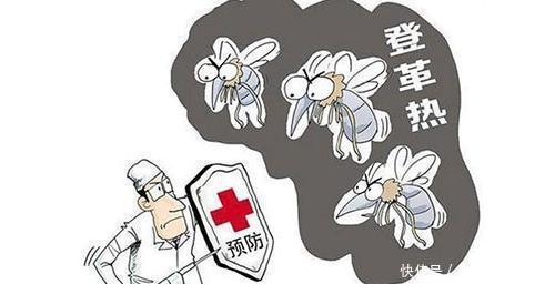 8月下半月珠海登革热风险闲置容器积水仍是主