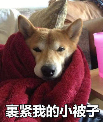 单身狗裹紧小被子表情包