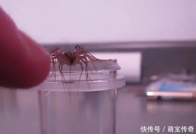 登录查看大图
