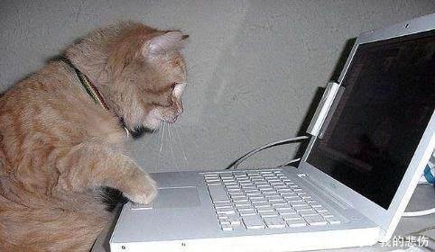 现在这年头做点什么工作好呢?