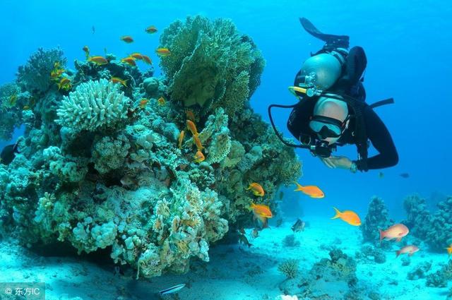 t01f5480e551a2643a4.jpg?size=640x425