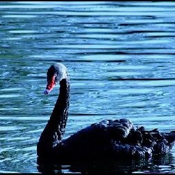 看到母子四人相拥在一起,湿婆大天总算是露出