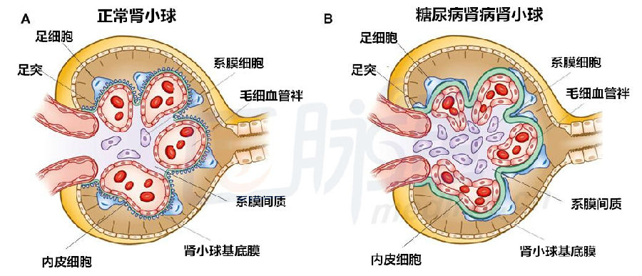 t01f5bfc389f5c0960c.jpg?size=900x387