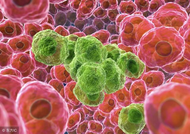 手术后是什么原因引起肠梗阻 t01f66c895380df5021.jpg?size=640x453