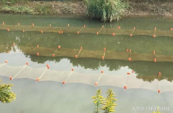 高效率污水处理器:石墨烯光催化网,我国又将掀