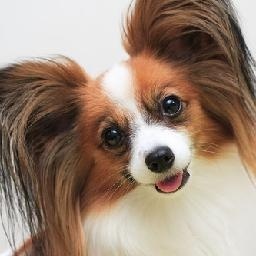 薛之谦无限歌谣季 薛之谦参加婚礼, 听说那位新