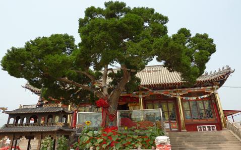 辽阳香火最旺的十大寺庙,你去过几个地方