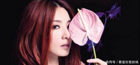 没有上过《快乐大本营》的明星, 图4维嘉公开