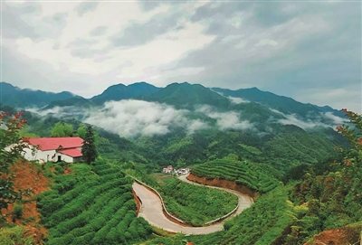 山村、栈桥、花海、古道…… 带你解锁春天最正确的打开方式