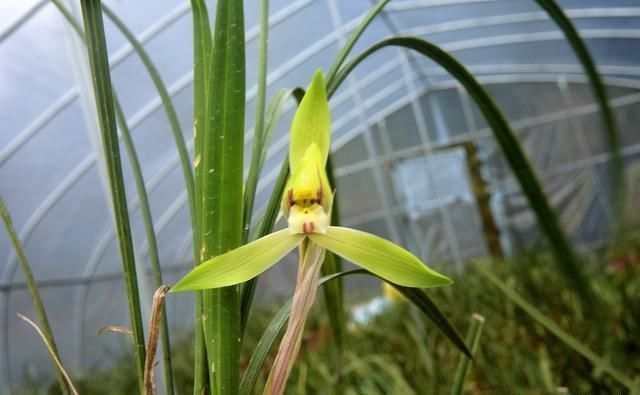 柳州害虫防治 柳州害虫防治