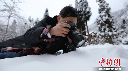 四川首次发现冬大蚊:冰雪奇蚊现身成都