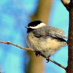 外国人看了白夜追凶的反应