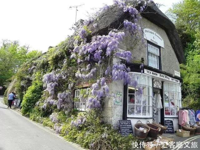 开一家属于自己的小店，从此荒度余生……