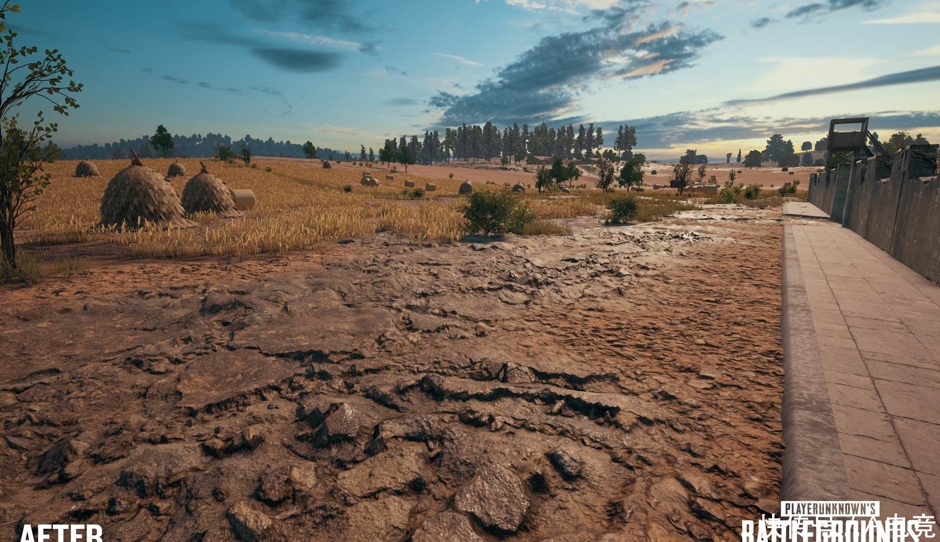 绝地求生:斗鱼主播3Q蹭热度发文怒怼蛇哥 粉丝