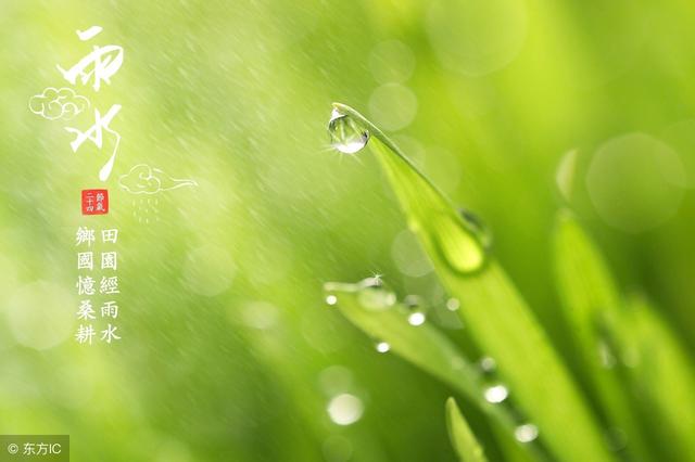 马琳:19年一轮回,在这雨水无声的滴滴答中,保重