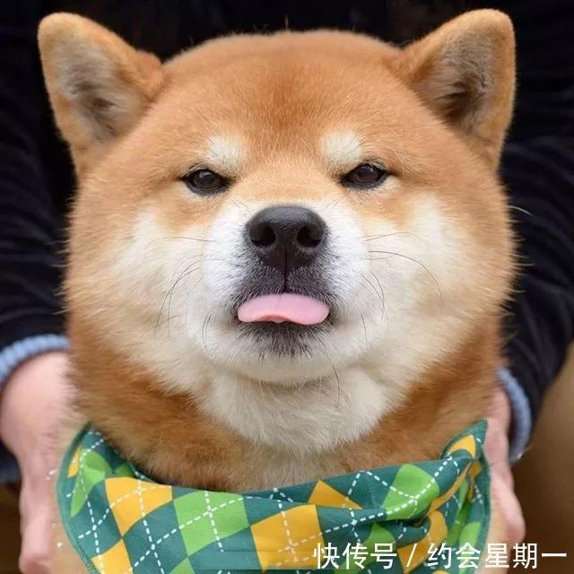 朋友圈的幽默说说，总有一句你会喜欢，值得收藏