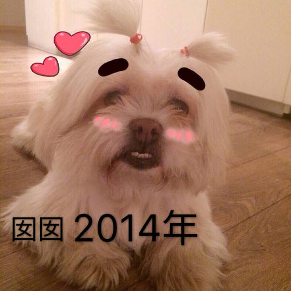 张馨予拿杨梅逗狗被痛骂,吓得她赶紧晒出这张照片