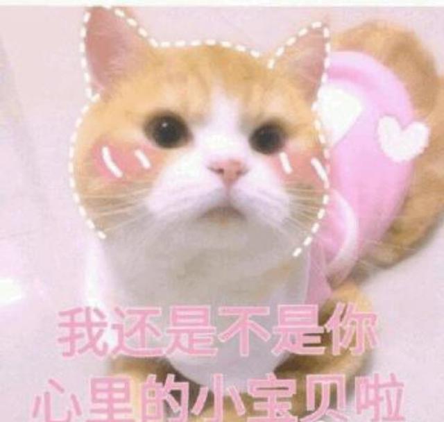 【ac娘】一表情的年份(二次制作)创作表情怎么字微动画包大全信图片带图片