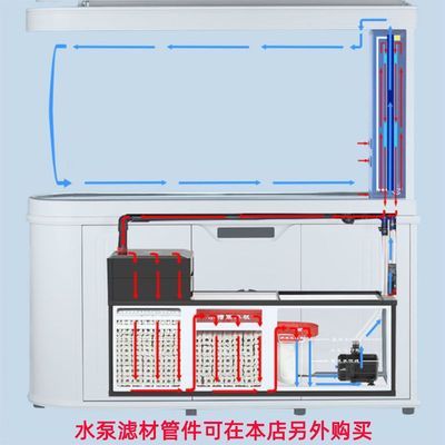 轉(zhuǎn)眼間10多月了我得虎苗長(zhǎng)大了