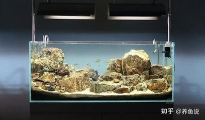 營(yíng)口市西市區(qū)佳霖水族館（營(yíng)口市西市區(qū)佳霖水族館電話）