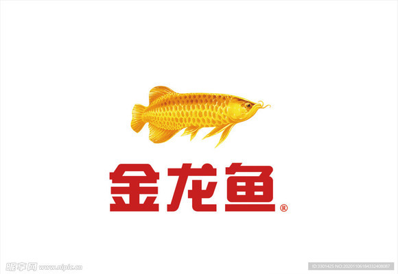 聊城魚缸定制哪家好一點的地方（聊城魚缸維修電話）