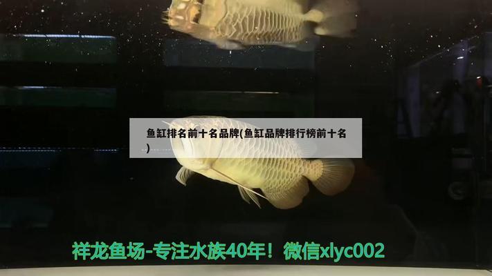 頂級魚缸品牌排行榜最新：頂級魚缸品牌排行榜