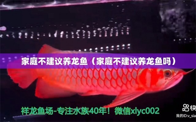 七彩神仙魚魚缸背景紙用什么顏色好呢（七彩神仙魚魚缸背景紙用什么顏色好呢）