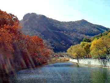 水陸魚缸造景效果圖大全集（水陸魚缸造景效果圖大全集圖片）