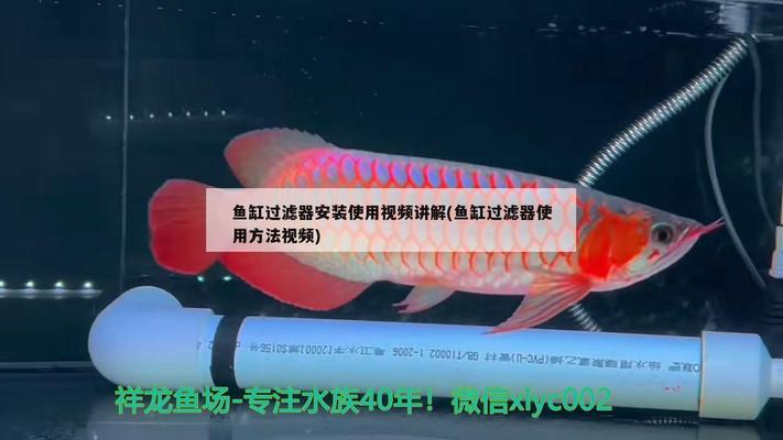 上海如初生物科技有限公司（上海如初生物科技有限公司連云港）