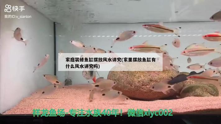 魚缸瀑布景觀（魚缸瀑布景觀倒流） 觀賞魚市場（混養(yǎng)魚）