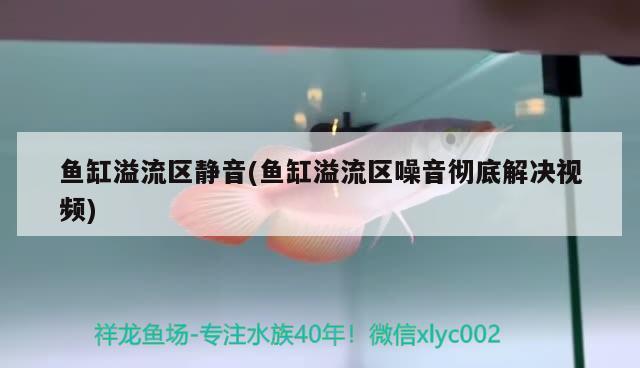 惠州魚缸售后維護電話 其他品牌魚缸