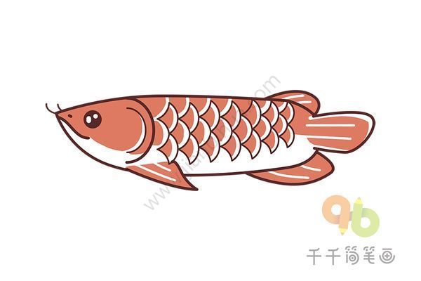 喀什魚缸批發(fā)市場(chǎng)（喀什魚缸批發(fā)市場(chǎng)在哪里）