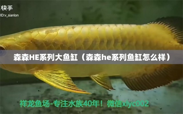 魚缸增氧機(jī)安裝圖視頻（魚缸增氧機(jī)安裝圖視頻教程） 祥龍水族醫(yī)院