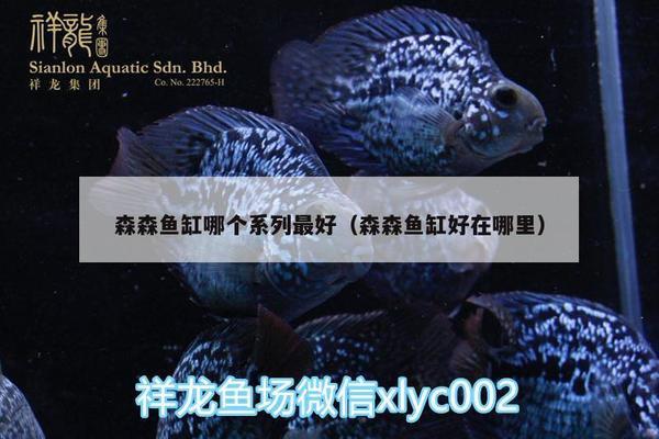 廣州水族館新手剛?cè)胨{(lán)底過背金龍照片求各位大神鑒定一下怎樣 充氧泵