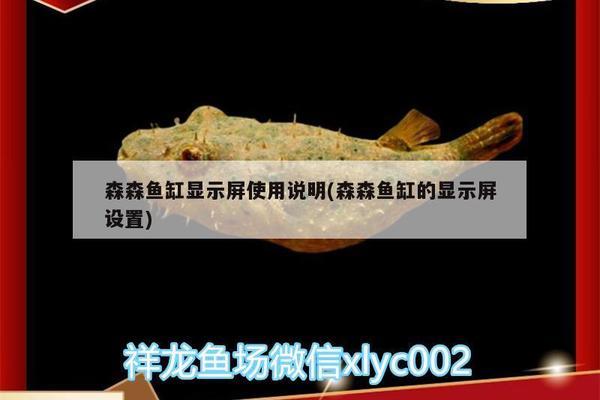 鱼缸放了沉木水黄怎样能解决掉（鱼缸放了沉木水黄怎样能解决掉色）