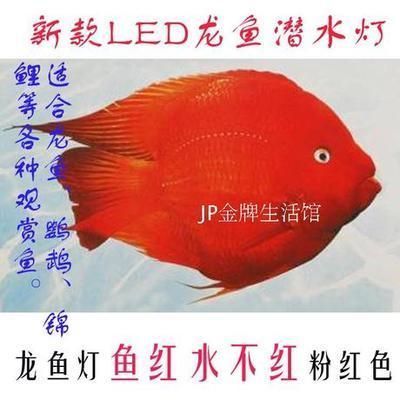 阜陽魚缸批發(fā)市場(chǎng)在哪里進(jìn)貨（阜陽魚缸批發(fā)市場(chǎng)在哪里進(jìn)貨的）