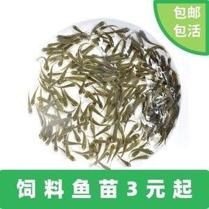 上海賣觀賞魚的商場（上海觀賞魚批發(fā)市場）