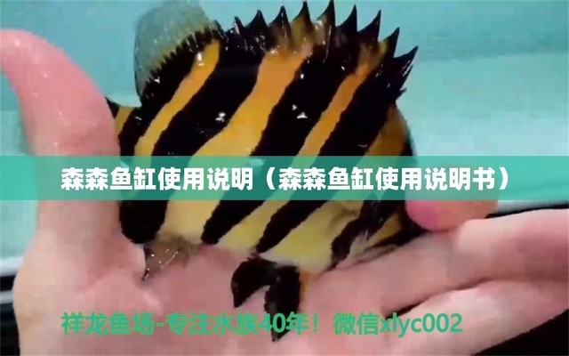 魚缸冷水機(jī)哪個(gè)品牌好（魚缸冷水機(jī)哪個(gè)牌子好） 紅頭利魚