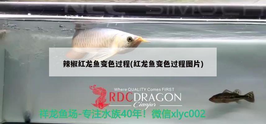 安顺鱼缸定制电话多少啊多少钱（安顺水族馆）