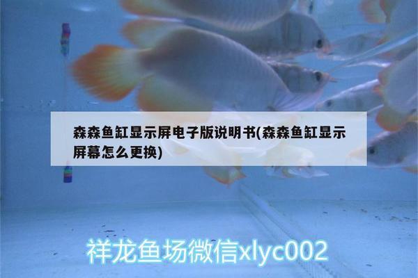 附近做魚缸（附近做魚缸的地方）