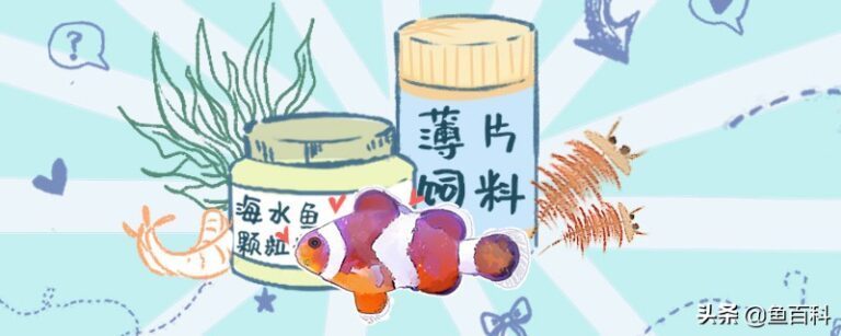 魚缸碎了用什么膠能膠?。~缸破裂用什么膠最好）