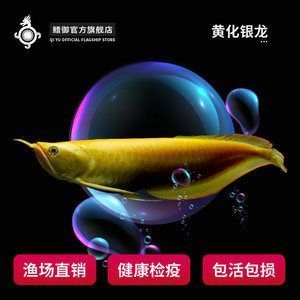 小型魚缸批發(fā)（小型魚缸批發(fā)廠家直銷）