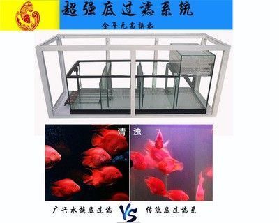 恐龍魚(yú)打氧（恐龍魚(yú)用打氧氣嗎） 祥龍水族醫(yī)院