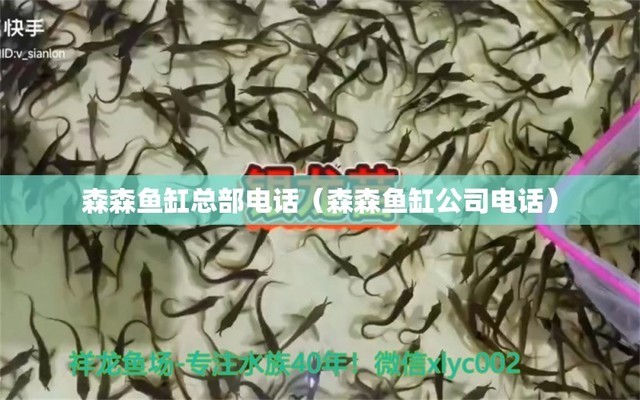 吉林魚缸售后維護(hù)電話號(hào)碼查詢（吉林魚缸售后維護(hù)電話號(hào)碼查詢地址）