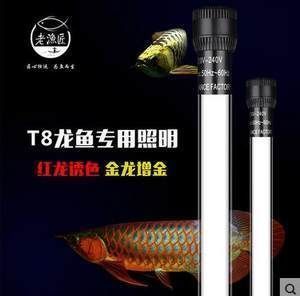 靈璧石魚(yú)缸造景圖片靈璧石魚(yú)缸造景圖片大全