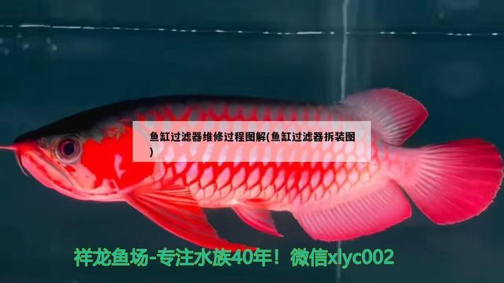 煙臺魚缸回收（煙臺魚缸回收電話）