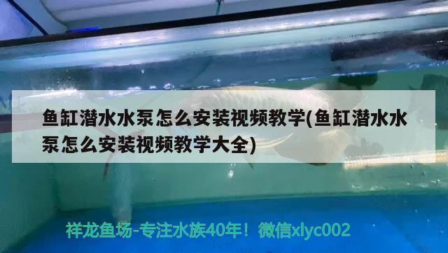 寶雞魚缸售后維護電話是多少號（寶雞魚缸售后維護電話是多少號碼）