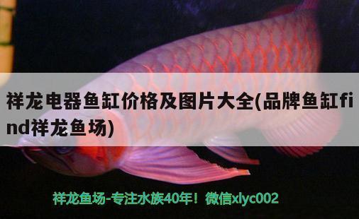 1.2米的魚缸造景視頻教程（1.2米的魚缸造景視頻教程大全） 其他品牌魚缸