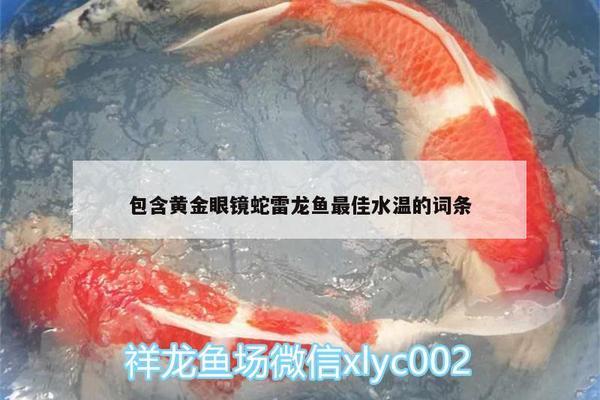 金龍魚突然不吃食了是什么原因造成的（金龍魚突然不吃食了是什么原因造成的呢）